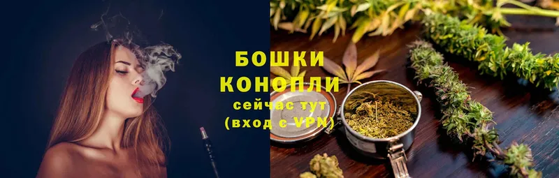 Канабис Bruce Banner  Выкса 